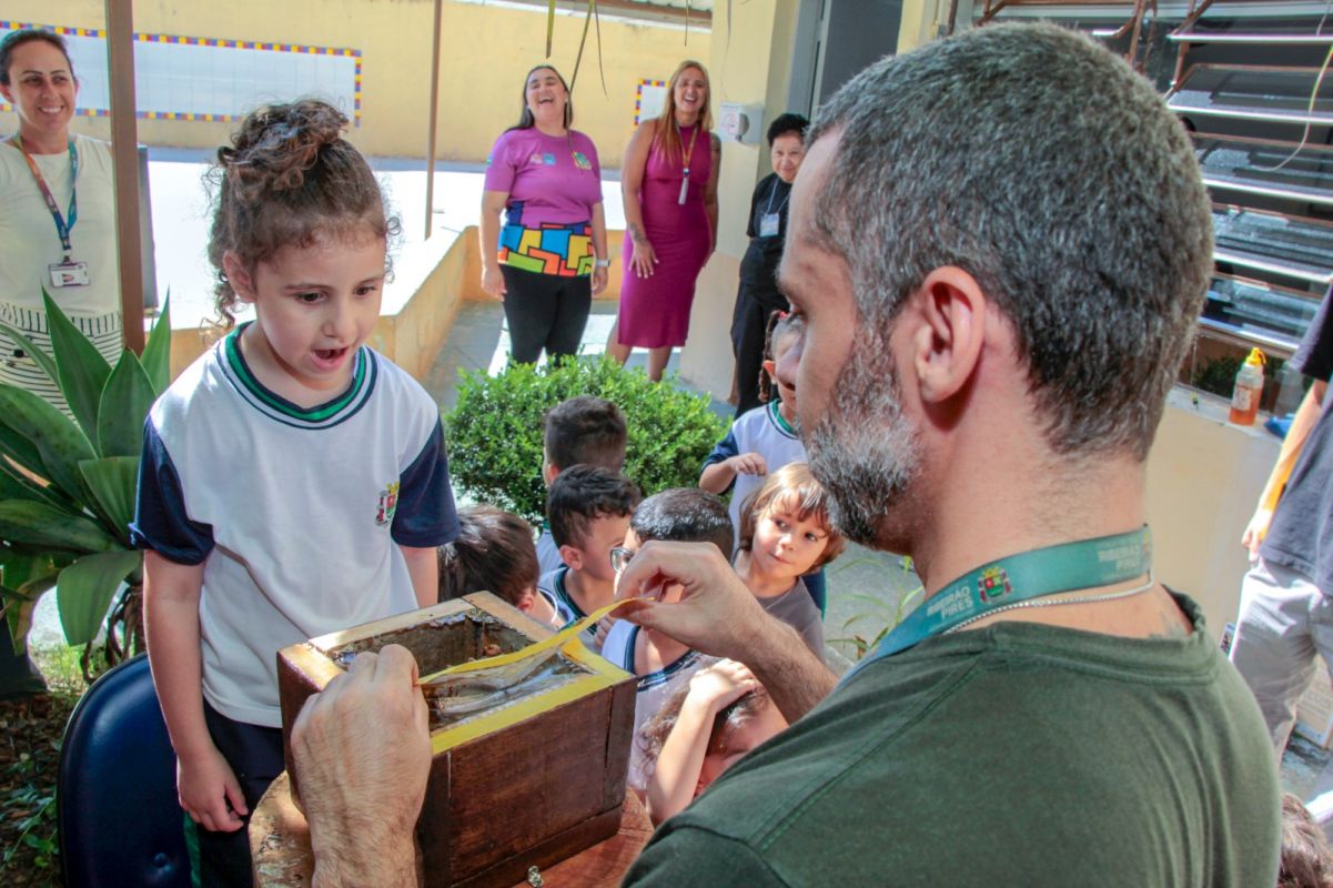 Novas colmeias de abelhas nativas são entregues a três escolas de ...